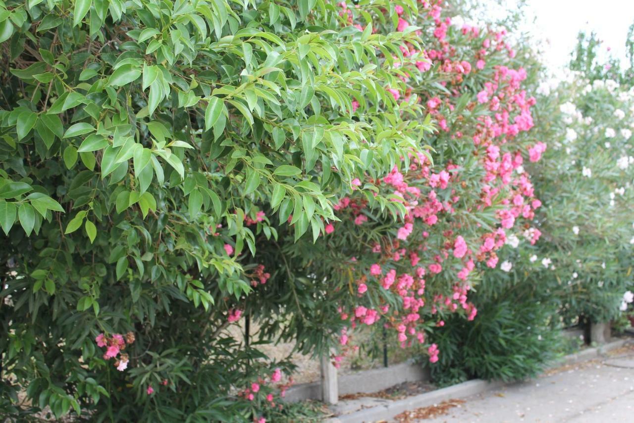Le Anfore Di Arpi Foggia Exterior foto